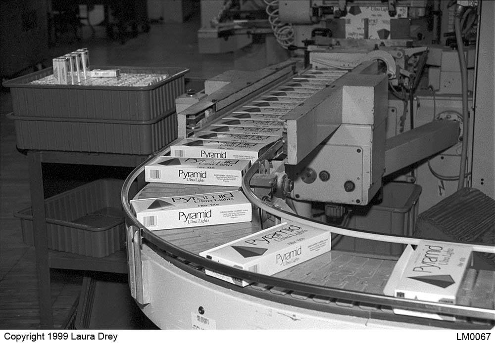 image of cartons conveyed to case packer