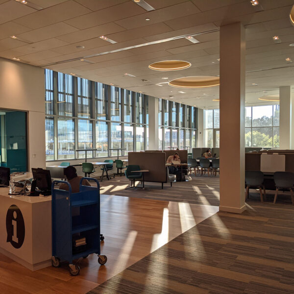 The Business Services area at Main Library - a large space with tall windows and sunbeams coming through, plus seating at open and semi-enclosed desks