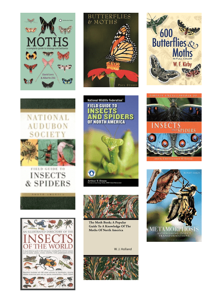 Grid of books about moths, butterflies, and other interesting insects