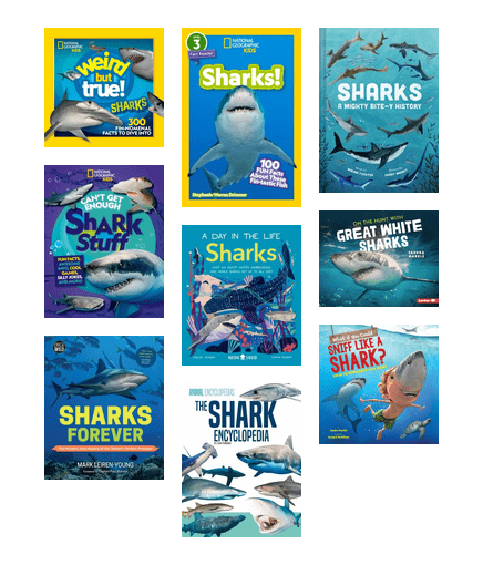 Nonfiction books full of fascinating shark info