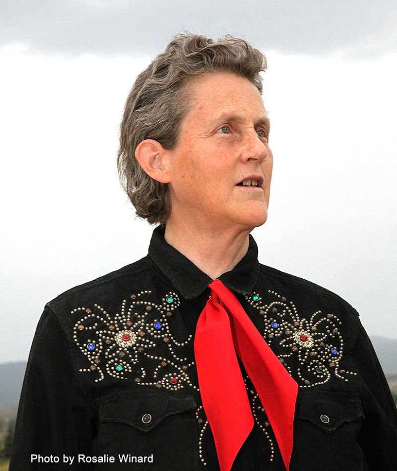 Temple Grandin in a Western-style shirt and tie in front of a big sky background. Embedded photo credit: Photo by Rosalie Winard.